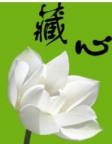 南陈：藏心
