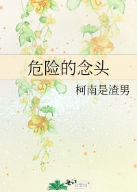 《危险的念头》