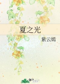 《夏之光》