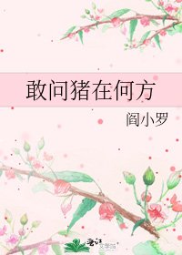 《敢问猪在何方》
