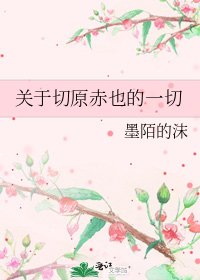 《关于切原赤也的一切》