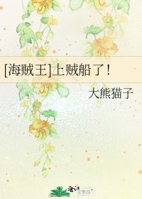 [海贼王]上贼船了！