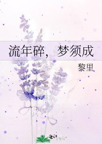 《流年碎,梦须成》