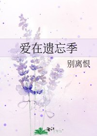 《爱在遗忘季》