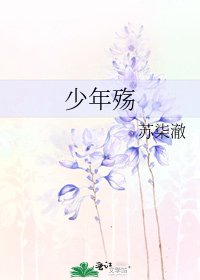 《少年殇》