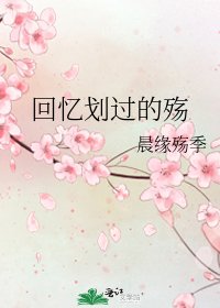 《回忆划过的殇》