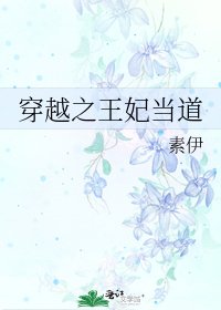 《穿越之王妃当道》
