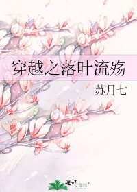 《穿越之落叶流殇》