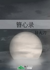 《簪心录》