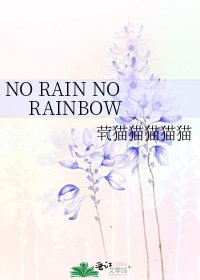 《NO RAIN NO RAINBOW》