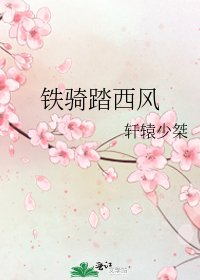 《铁骑踏西风》