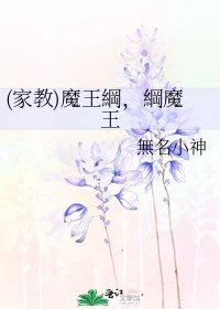 《(家教)魔王綱,綱魔王》