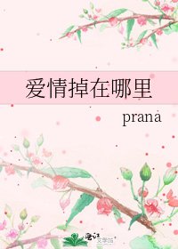 《爱情掉在哪里》