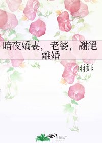 《暗夜嬌妻,老婆,謝絕離婚》