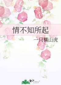 《情不知所起》