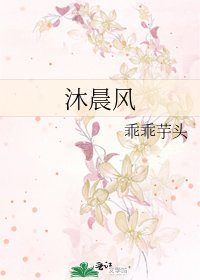 《沐晨风》