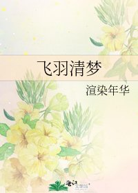 《飞羽清梦》