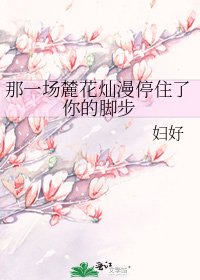 那一场麓花灿漫停住了你的脚步