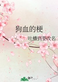 《狗血的梗》