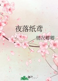 《夜落纸鸢》
