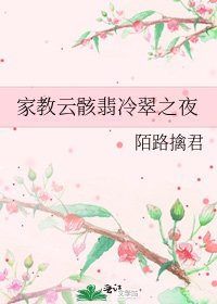 《家教云骸翡冷翠之夜》
