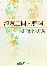 海贼王同人整理