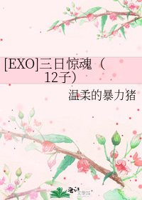 [EXO]三日惊魂（12子）
