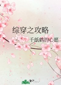 综穿之攻略