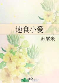 《速食小爱》
