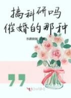 《搞科研吗催婚的那种》