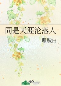 《同是天涯沦落人》