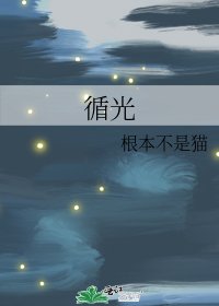 《循光》