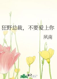 《狂野总裁,不要爱上你》