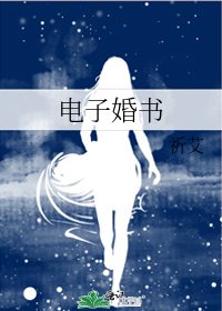 《电子婚书》