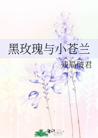 《黑玫瑰与小苍兰》