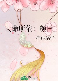 天命所依：颜曰