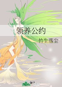 《领养公约》