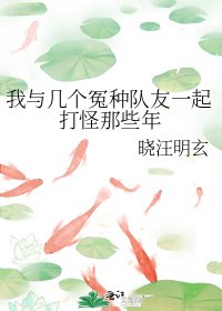 《我与几个冤种队友一起打怪那些年》
