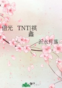 《借光 TNT|祺鑫》