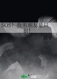 《SOS!我男朋友是只狼!》