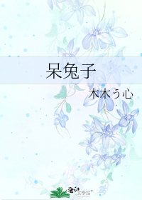 《呆兔子》