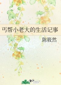 《丐帮小老大的生活记事》