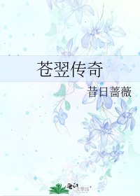 《苍翌传奇》