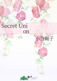 《Secret Union》