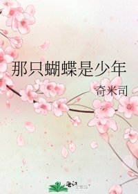 《那只蝴蝶是少年》