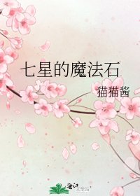 《七星的魔法石》