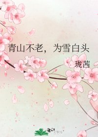《青山不老,为雪白头》
