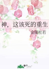《神,这该死的重生》