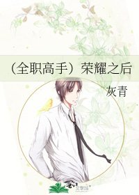 《(全职高手)荣耀之后》