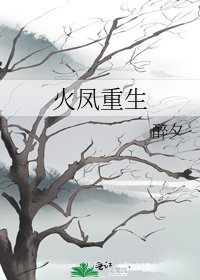 《火凤重生》